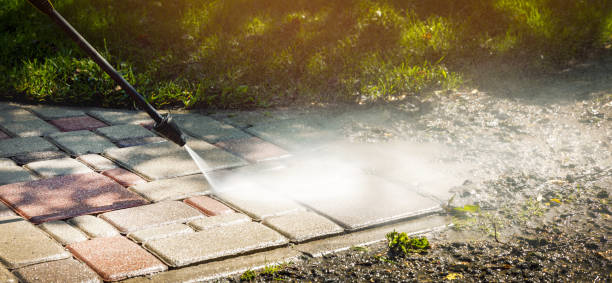 Best Fence Cleaning  in Bylas, AZ